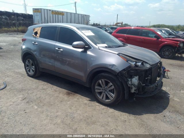 KIA SPORTAGE 2018 kndpmcac6j7309655