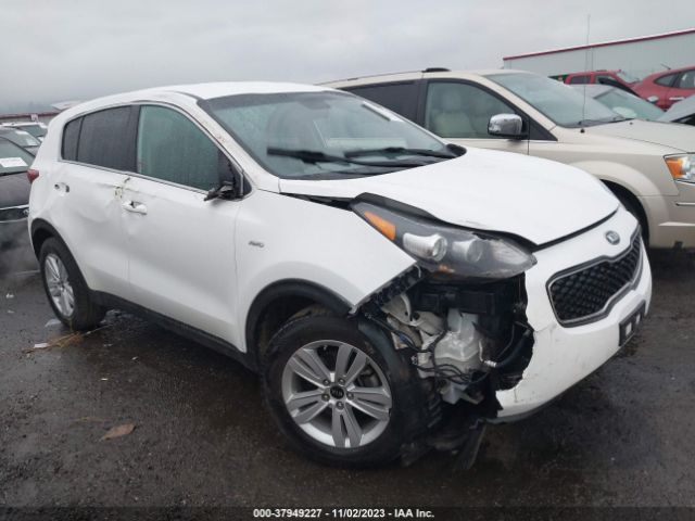 KIA SPORTAGE 2018 kndpmcac6j7424482