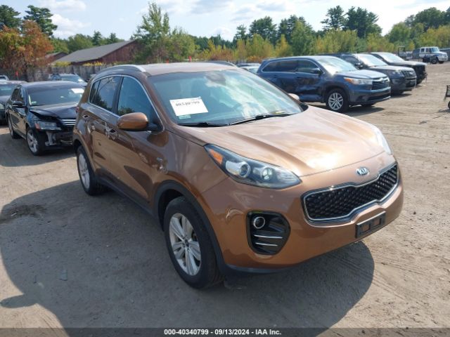 KIA SPORTAGE 2019 kndpmcac6k7554019