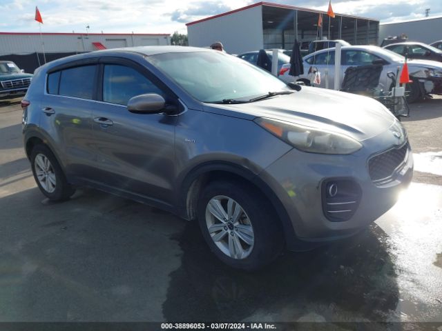 KIA SPORTAGE 2017 kndpmcac7h7103190