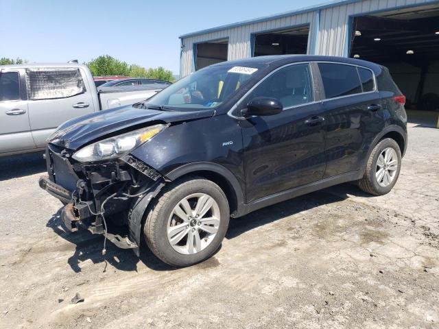 KIA SPORTAGE 2017 kndpmcac7h7290785