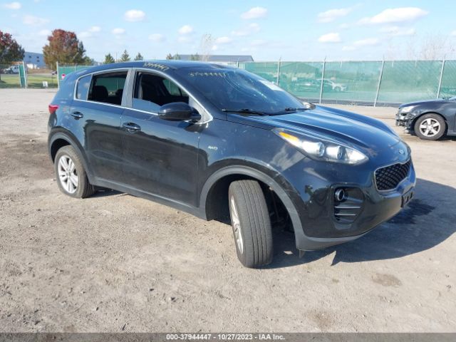 KIA SPORTAGE 2018 kndpmcac7j7406461