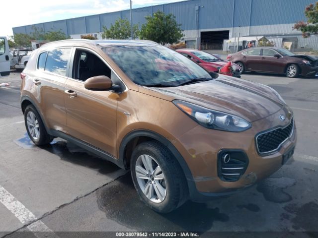 KIA SPORTAGE 2017 kndpmcac8h7052511