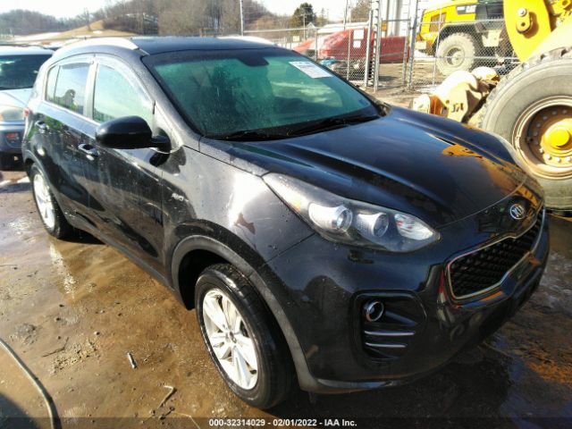 KIA SPORTAGE 2017 kndpmcac8h7102789