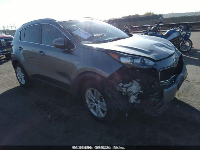 KIA SPORTAGE 2017 kndpmcac8h7150664