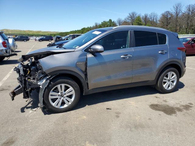 KIA SPORTAGE 2017 kndpmcac8h7159574