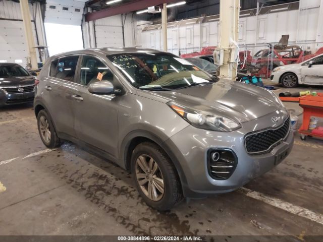 KIA SPORTAGE 2017 kndpmcac8h7257844