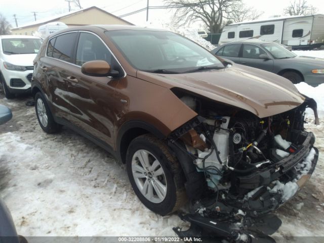 KIA SPORTAGE 2018 kndpmcac8j7429893