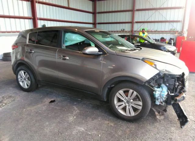 KIA SPORTAGE 2017 kndpmcac9h7033286