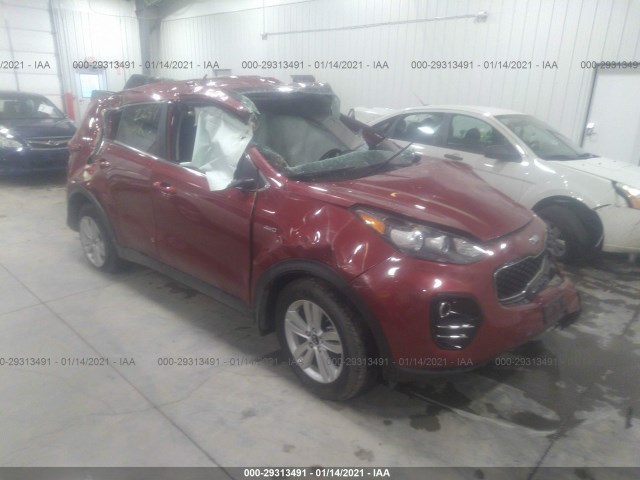 KIA SPORTAGE 2017 kndpmcac9h7205008