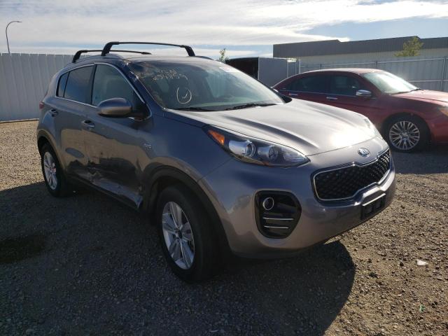 KIA SPORTAGE L 2017 kndpmcac9h7259859