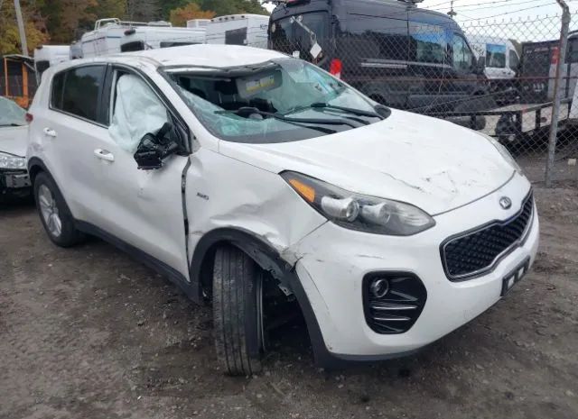 KIA SPORTAGE 2017 kndpmcac9h7261966