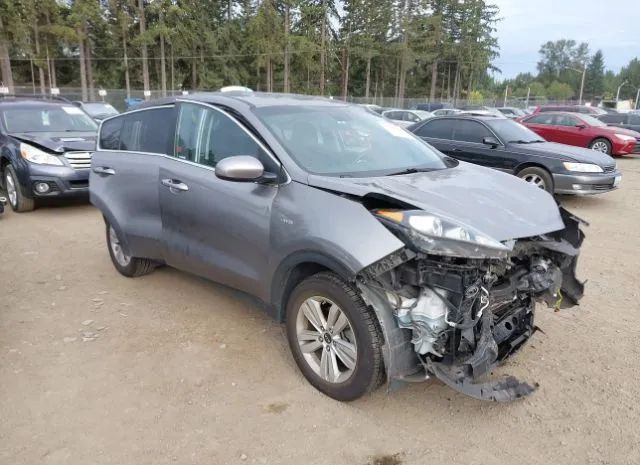 KIA SPORTAGE 2018 kndpmcac9j7312467