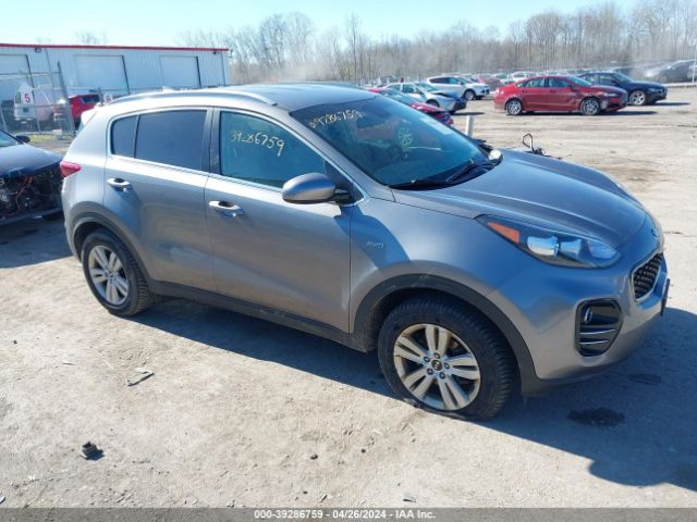 KIA SPORTAGE 2018 kndpmcac9j7446265