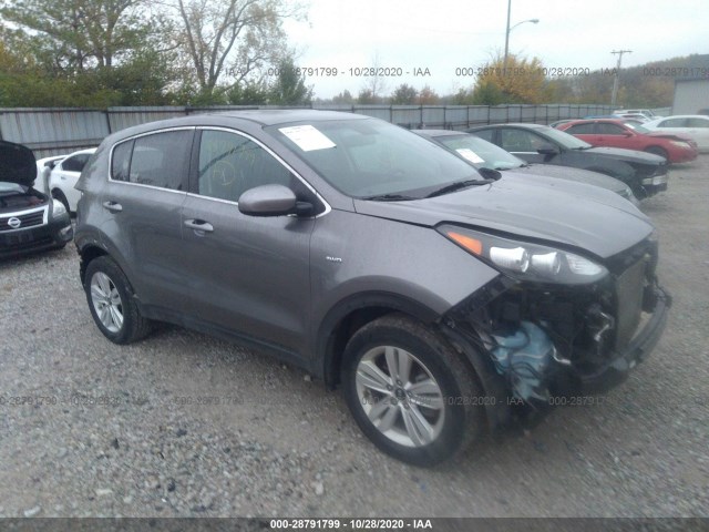 KIA SPORTAGE 2019 kndpmcac9k7555374