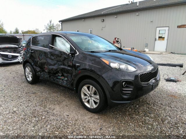 KIA SPORTAGE 2017 kndpmcacxh7039663