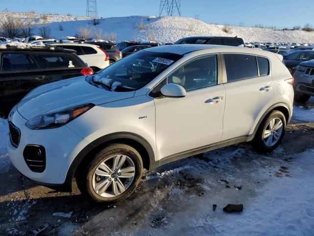 KIA SPORTAGE L 2017 kndpmcacxh7063896