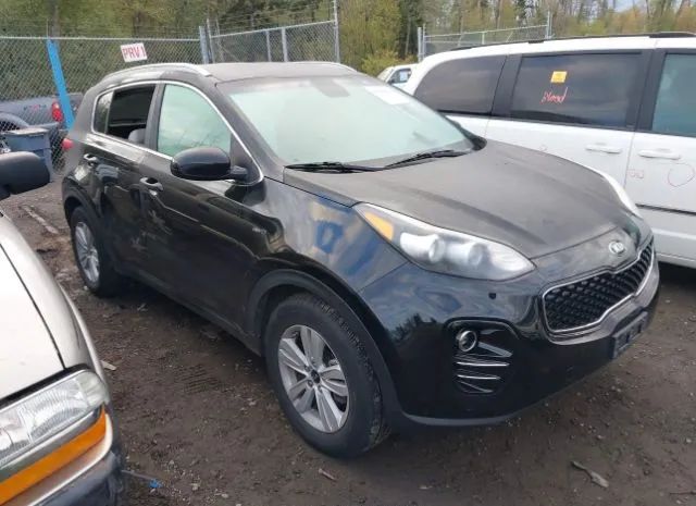 KIA SPORTAGE 2017 kndpmcacxh7100347