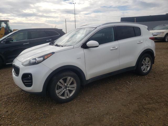 KIA SPORTAGE L 2017 kndpmcacxh7110568