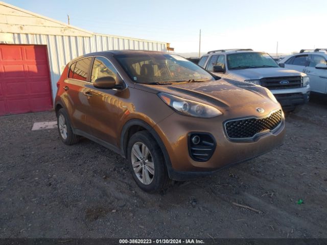 KIA SPORTAGE 2017 kndpmcacxh7131906