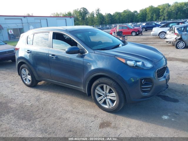 KIA SPORTAGE 2017 kndpmcacxh7180314