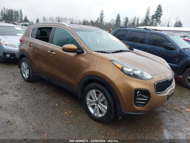 KIA SPORTAGE 2017 kndpmcacxh7184265