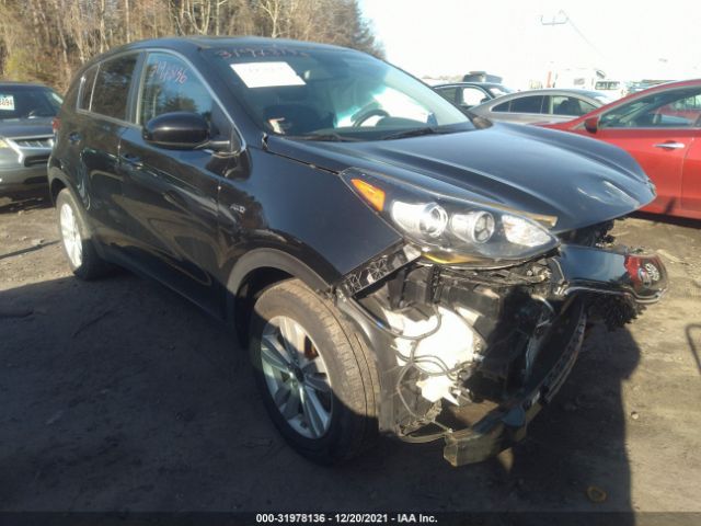 KIA SPORTAGE 2017 kndpmcacxh7194293