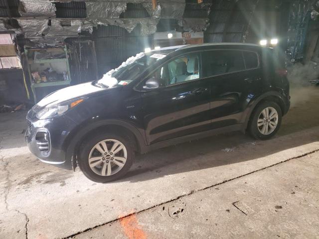 KIA SPORTAGE 2017 kndpmcacxh7285905