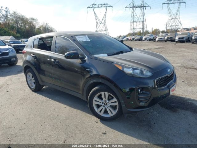 KIA SPORTAGE 2017 kndpmcacxh7298881