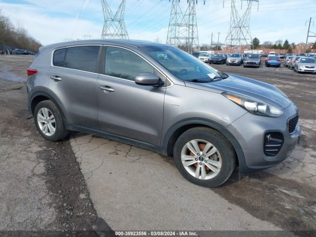 KIA SPORTAGE 2017 kndpmcacxh7300368