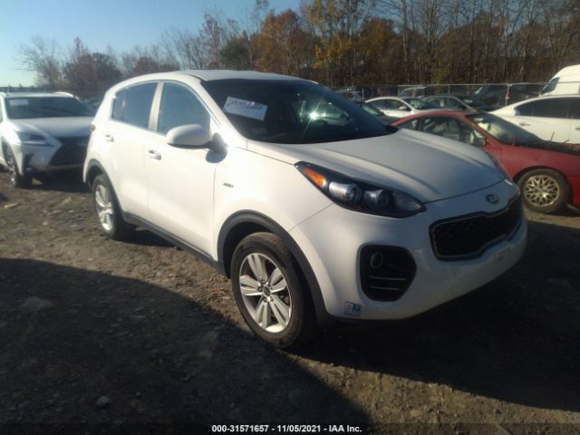 KIA SPORTAGE 2019 kndpmcacxk7502215