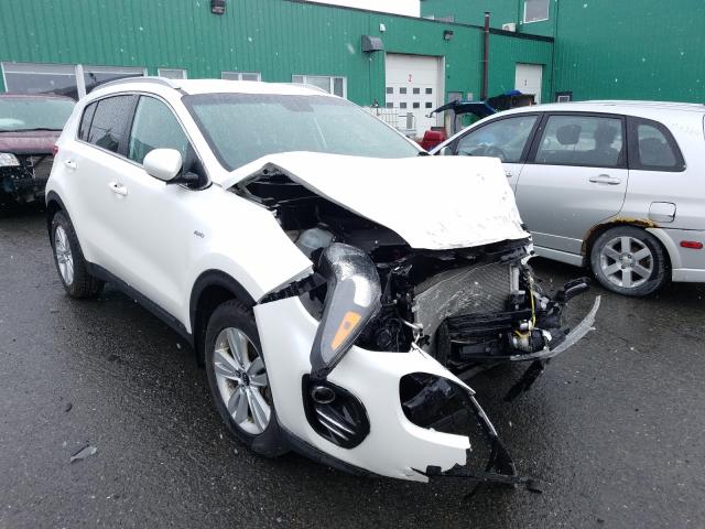 KIA SPORTAGE L 2019 kndpmcacxk7524912