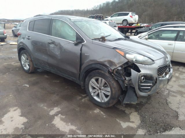 KIA SPORTAGE 2019 kndpmcacxk7556422