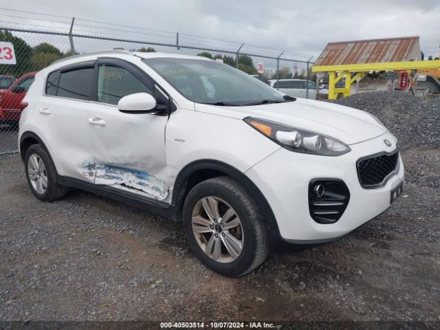 KIA SPORTAGE 2019 kndpmcacxk7590408