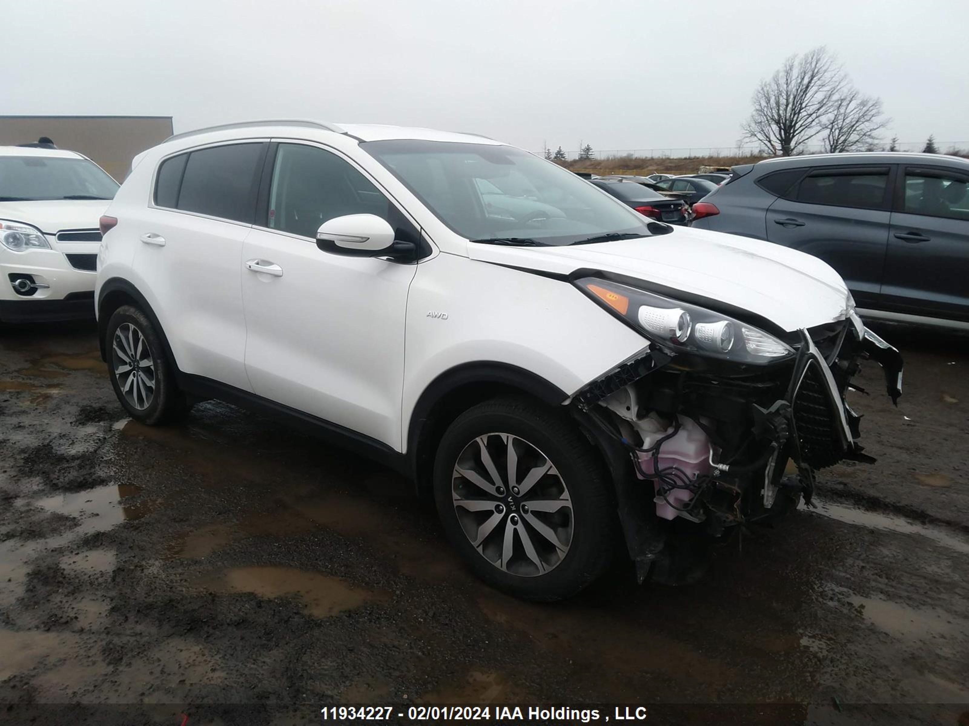 KIA SPORTAGE 2017 kndpncac3h7270935