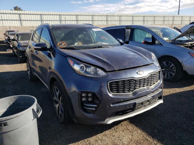 KIA SPORTAGE S 2017 kndpr3a65h7052882