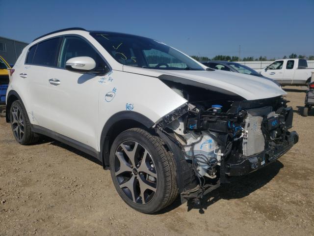 KIA NULL 2019 kndprca66k7540360