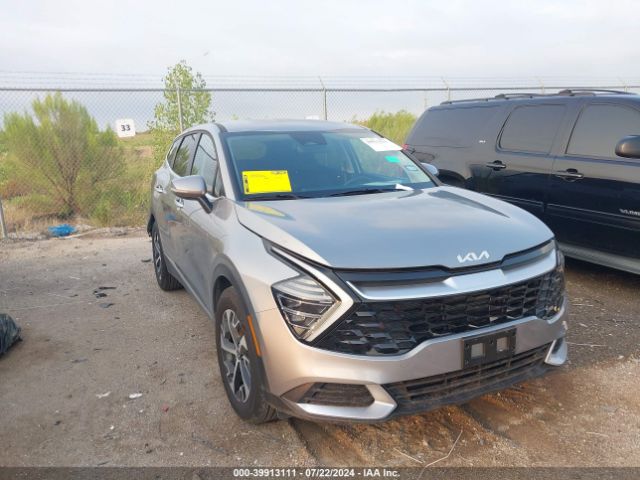 KIA SPORTAGE 2024 kndpv3dfxr7271622