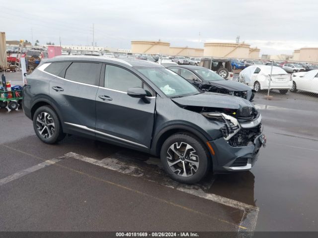 KIA SPORTAGE 2024 kndpvcdgxr7152560