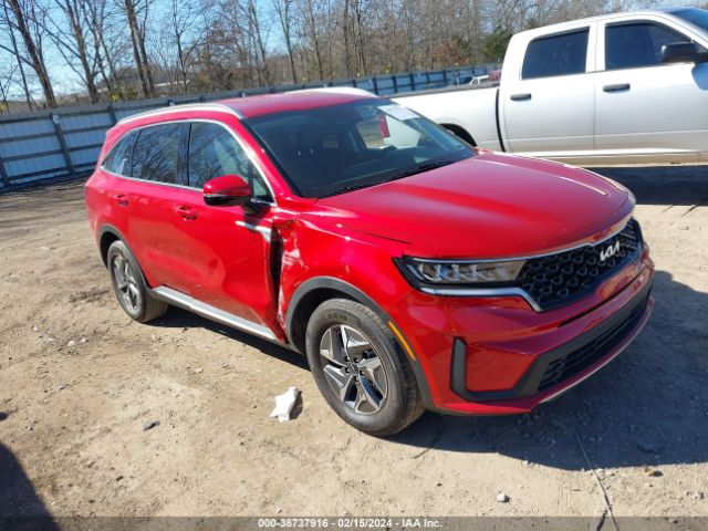 KIA SORENTO HYBRID 2022 kndrg4lg1n5110004