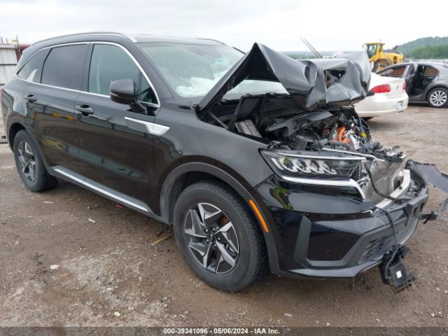 KIA SORENTO HYBRID 2021 kndrg4lg3m5059586