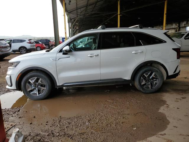 KIA SORENTO S 2021 kndrg4lg5m5060982