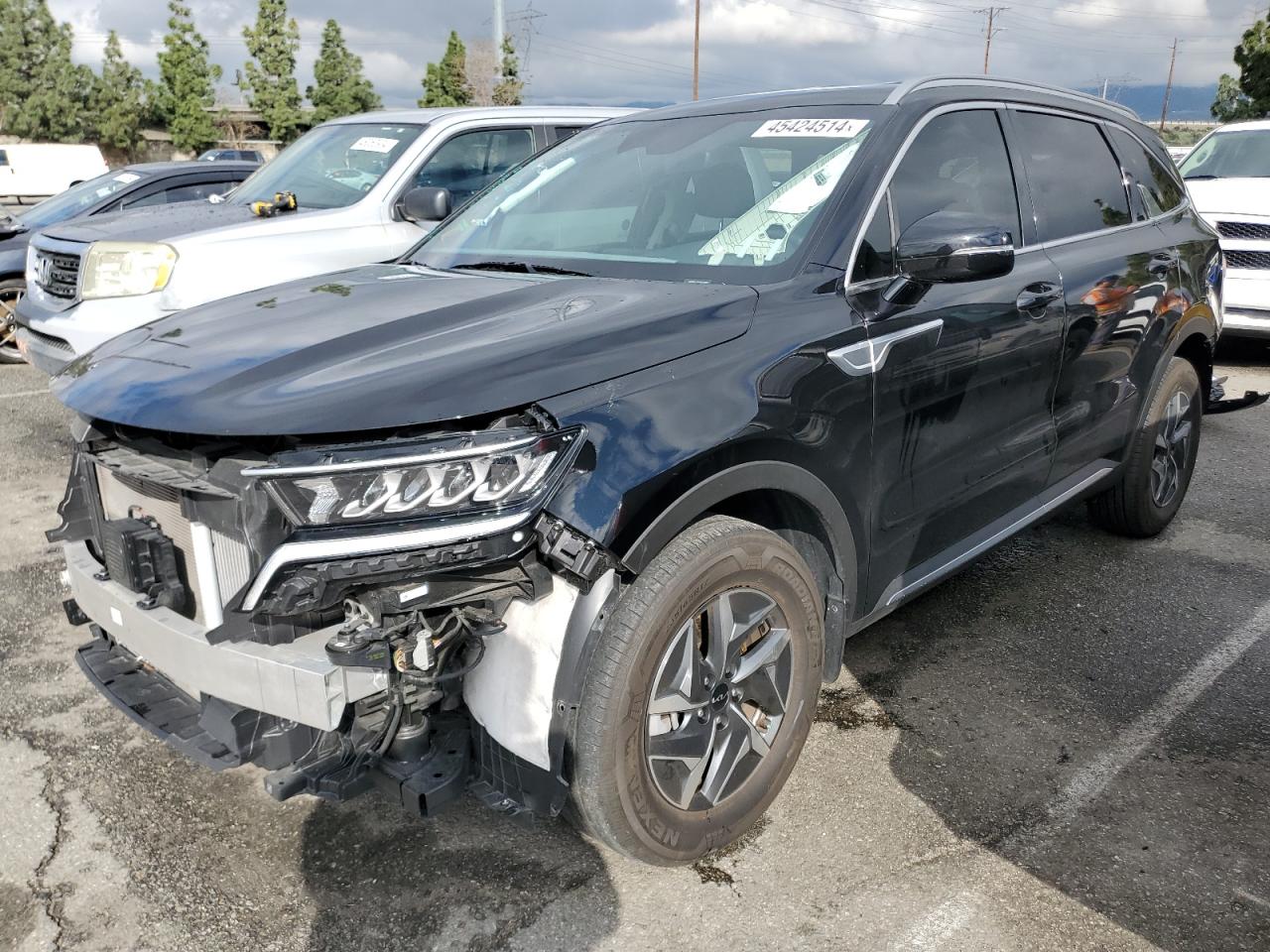 KIA SORENTO 2022 kndrg4lg6n5072382