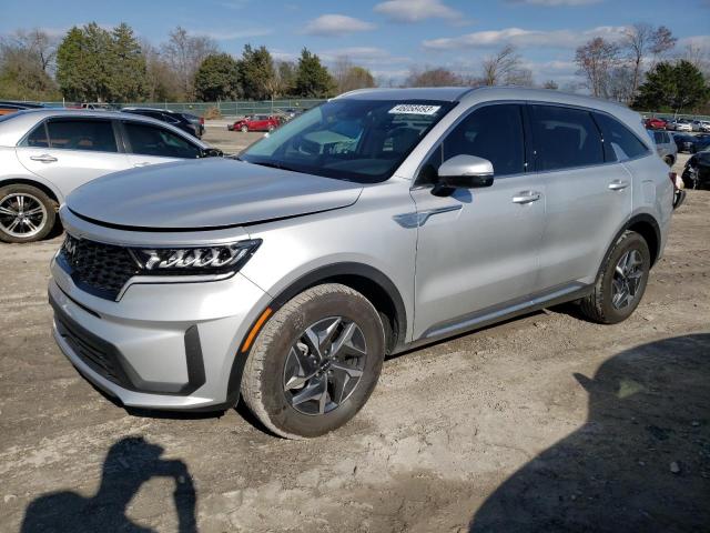 KIA SORENTO S 2022 kndrg4lg6n5086069