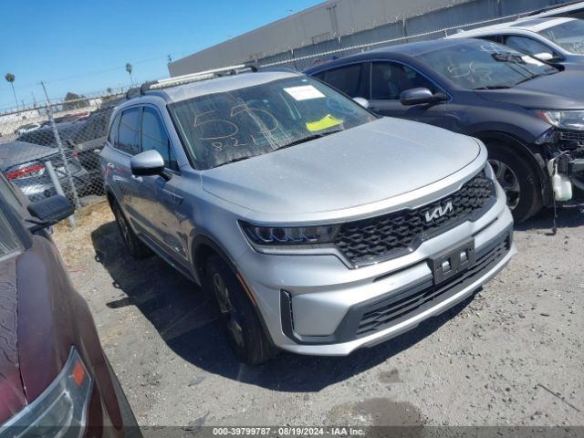 KIA SORENTO 2022 kndrg4lg6n5109978