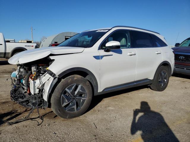 KIA SORENTO 2022 kndrgdlg5n5118266