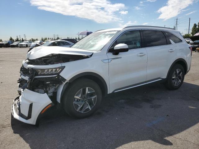 KIA SORENTO 2023 kndrh4lg0p5175605