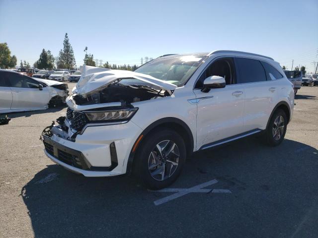 KIA SORENTO 2023 kndrh4lg1p5142175