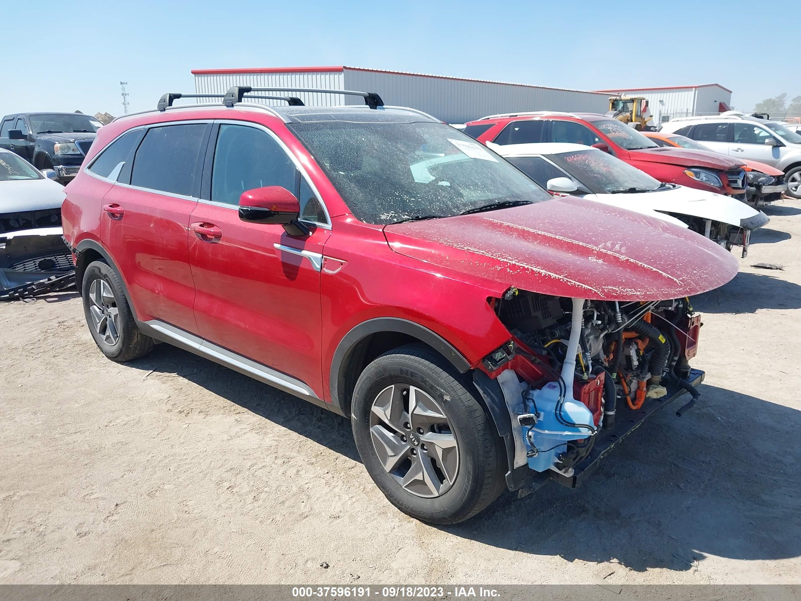 KIA SORENTO 2021 kndrh4lg2m5050908