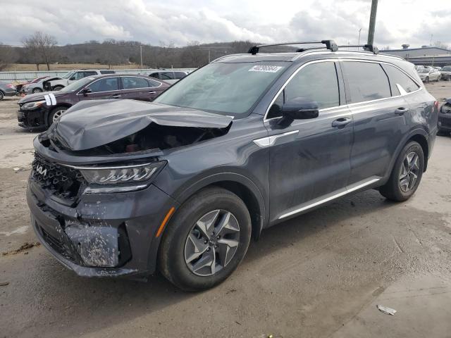 KIA SORENTO 2022 kndrh4lg3n5094319